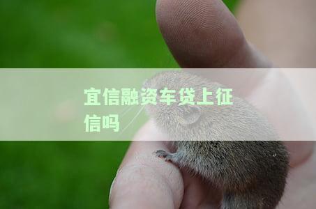 易車貸(易車貸)? (http://m.tony-an.com/) 知識問答 第1張