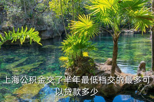 車(chē)輛抵押貸款 上海(抵押上海貸款車(chē)輛怎么辦)? (http://m.tony-an.com/) 知識(shí)問(wèn)答 第3張
