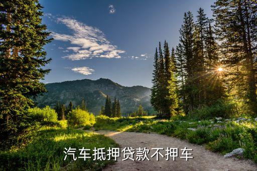車輛抵押貸款哪個平臺利息最低(專業汽車抵押貸款利息低)? (http://m.tony-an.com/) 知識問答 第1張