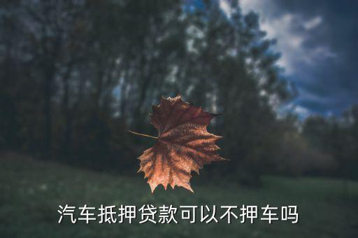 車輛抵押貸款哪個平臺利息最低(專業汽車抵押貸款利息低)? (http://m.tony-an.com/) 知識問答 第2張