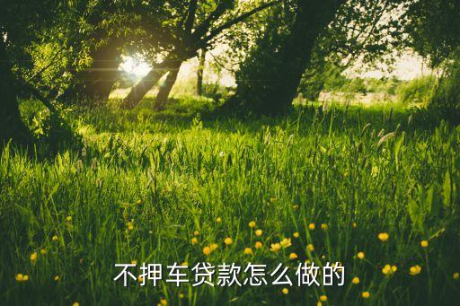 車子抵押貸款不押車(抵押車貸款風險大嗎)? (http://m.tony-an.com/) 知識問答 第1張