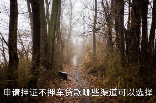 車子抵押貸款不押車(抵押車貸款風險大嗎)? (http://m.tony-an.com/) 知識問答 第3張