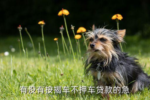 車子抵押貸款不押車(抵押貸款的車)? (http://m.tony-an.com/) 知識問答 第1張