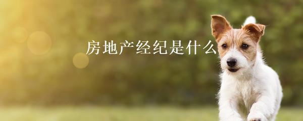 民間貸款公司(民間借貸的公司)? (http://m.tony-an.com/) 知識問答 第22張
