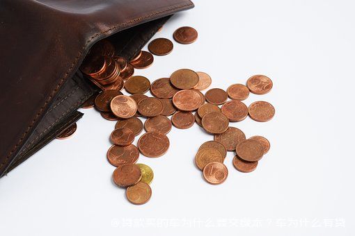 拿車的綠本怎么貸款(貸款車綠本拿到手了該怎么辦)? (http://m.tony-an.com/) 知識問答 第1張