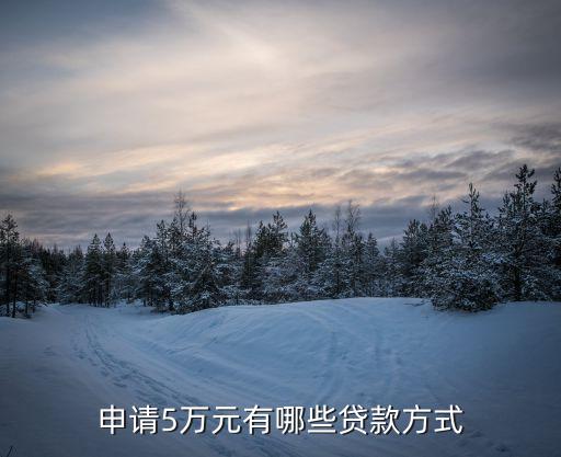 怎么能貸款5萬(能貸款的平臺有哪些)? (http://m.tony-an.com/) 知識問答 第1張