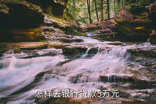怎么能貸款5萬(能貸款的平臺有哪些)? (http://m.tony-an.com/) 知識問答 第2張