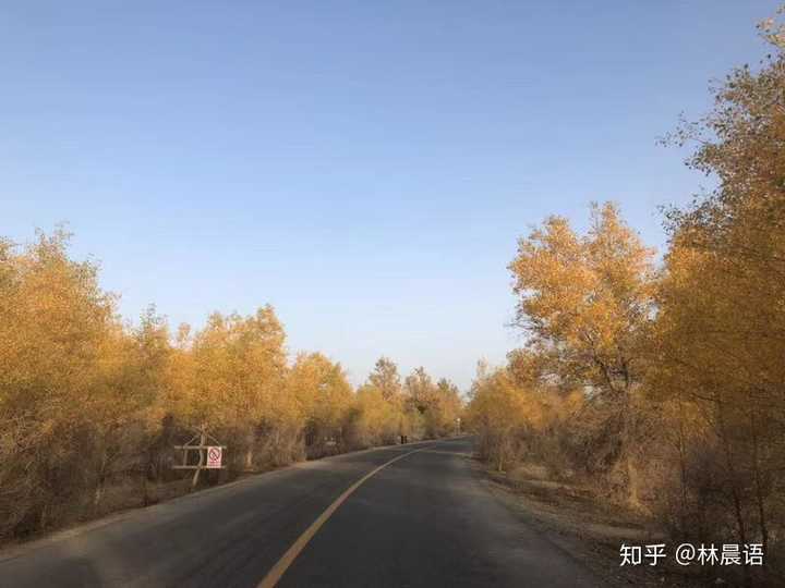 有車就能申請的網(wǎng)貸(有網(wǎng)貸買車貸款能批下來嗎)? (http://m.tony-an.com/) 知識問答 第1張