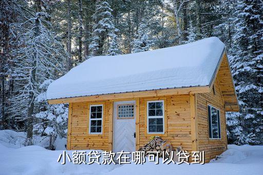 蘇州車輛抵押貸款(蘇州汽車抵押貸)? (http://m.tony-an.com/) 知識問答 第3張