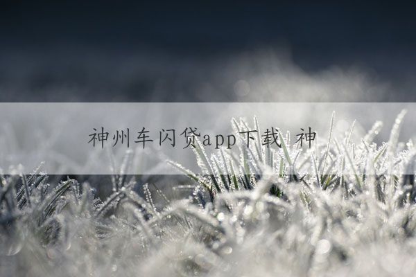 神州車閃貸app(神州閃貸抵押車安全嗎)? (http://m.tony-an.com/) 知識問答 第1張