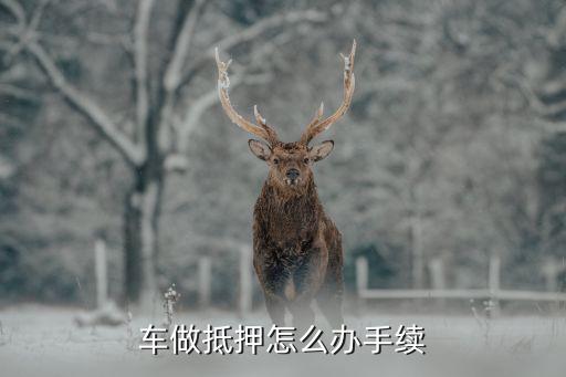 辦理車輛抵押貸款需要什么資料(抵押貸款車輛辦理資料需要哪些)？ (http://m.tony-an.com/) 知識問答 第1張