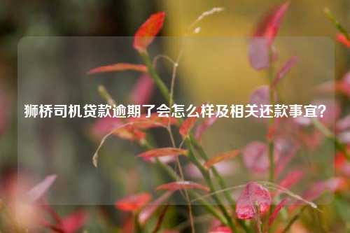 獅橋車抵貸(獅橋車抵貸利率是多少)？ (http://m.tony-an.com/) 知識問答 第1張