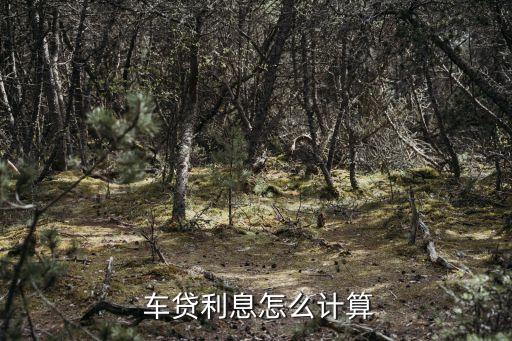 車抵貸哪家銀行利息低(低利息抵押貸款)？ (http://m.tony-an.com/) 知識問答 第1張