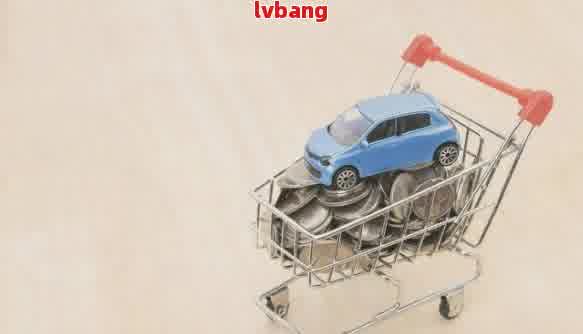 有車輛抵押貸款(抵押貸款車輛有什么影響)？ (http://m.tony-an.com/) 知識問答 第1張