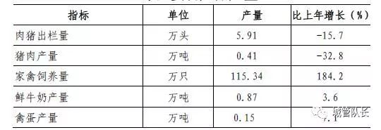 上海私家車抵押(上海抵押車私人抵押)？ (http://m.tony-an.com/) 知識問答 第2張