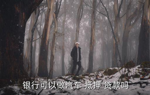 車抵押貸額度(抵押車貸款金額)？ (http://m.tony-an.com/) 知識問答 第3張