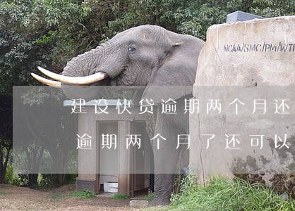 汽車抵押快貸(抵押車貸款有什么坑)？ (http://m.tony-an.com/) 知識問答 第1張