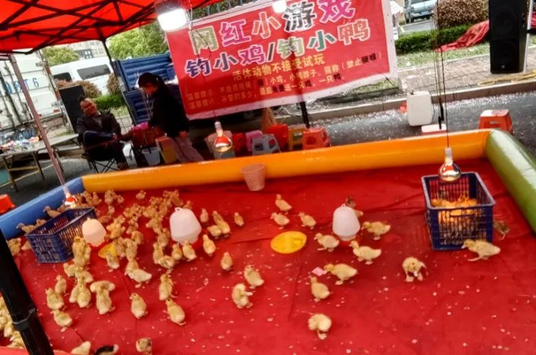 常州車輛抵押貸款(常州抵押貸款車輛怎么過(guò)戶)？ (http://m.tony-an.com/) 知識(shí)問(wèn)答 第11張