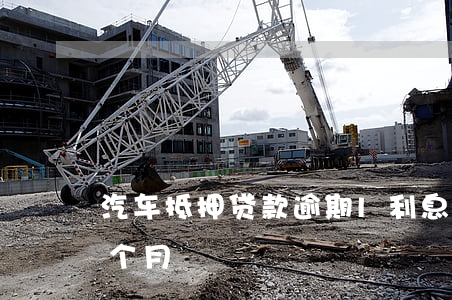 車抵押貸款的利息(抵押車子貸款利息)？ (http://m.tony-an.com/) 知識問答 第2張