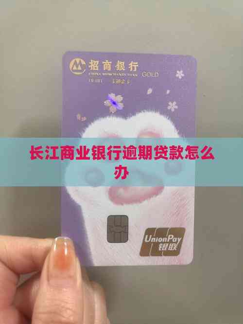 車輛 抵押貸款咨詢(逾期貸款處理方法)？ (http://m.tony-an.com/) 知識(shí)問(wèn)答 第2張